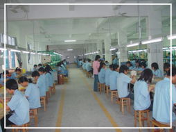 深圳電子產(chǎn)業(yè)中的榮華達(dá)電子廠 專(zhuān)業(yè)與創(chuàng)新的代表